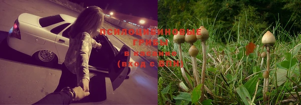 Альфа ПВП Верхний Тагил