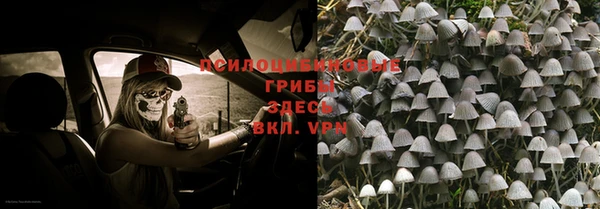 гидропоника Верхнеуральск