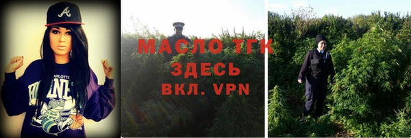apvp Верея