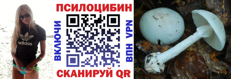 Купить где  Звенигово  Псилоцибиновые грибы MAGIC MUSHROOMS 